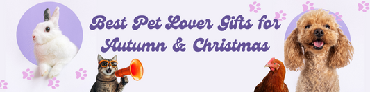 Best Pet Lover Gifts for Autumn & Christmas in the UK