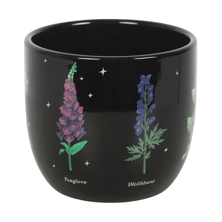 Poisonous Plants Plant Pot