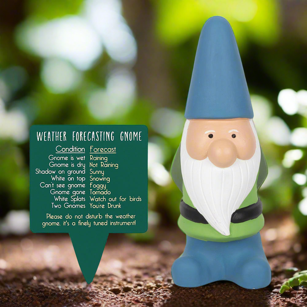 Large Weather Forecasting Gnome