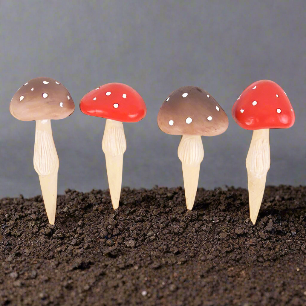 British Garden Birds Seed Packet Storage Box