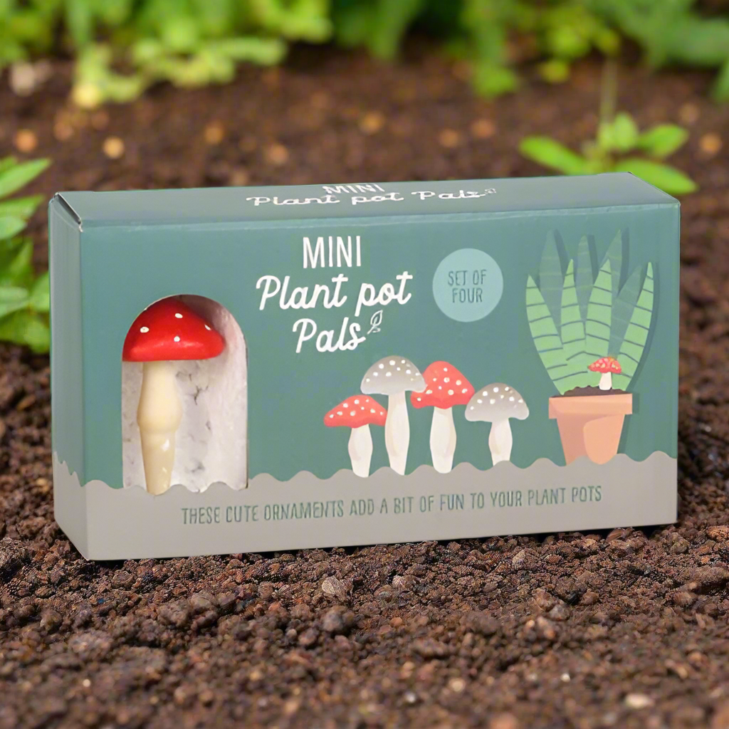 British Garden Birds Seed Packet Storage Box