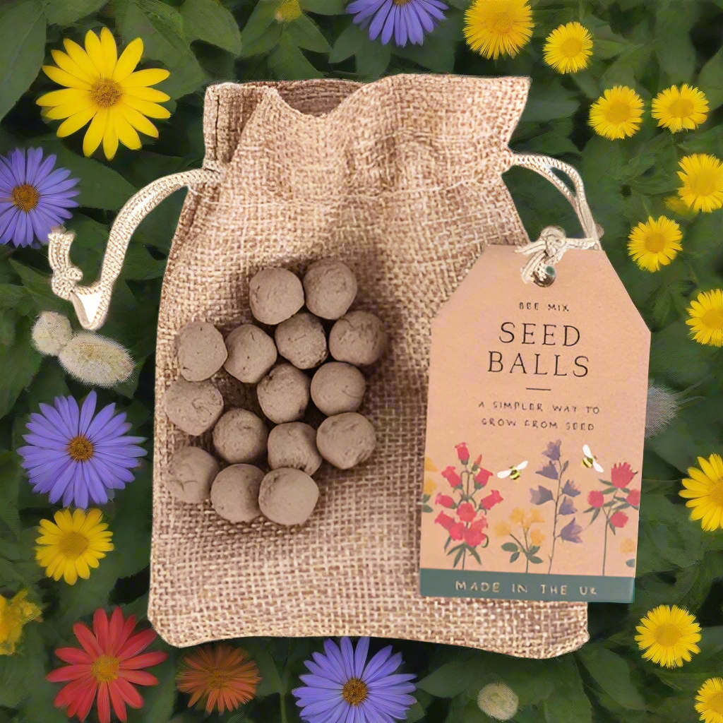 British Garden Birds Seed Packet Storage Box