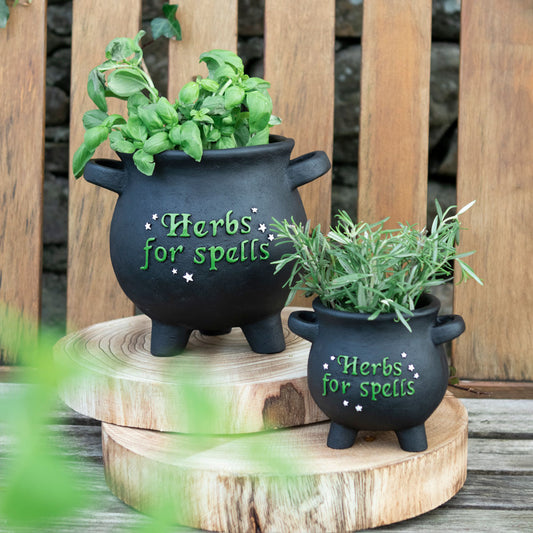 Large Herbs For Spells Cauldron Plant Pot