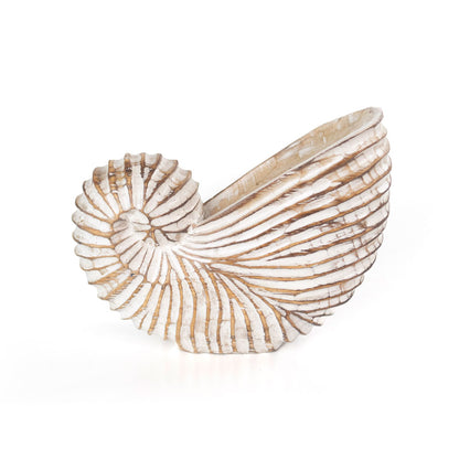 Whitewash Albasia Wood Shell Ornament