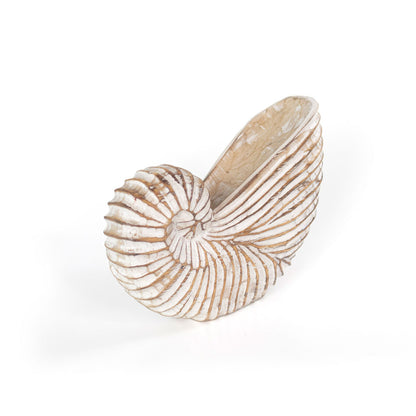 Whitewash Albasia Wood Shell Ornament